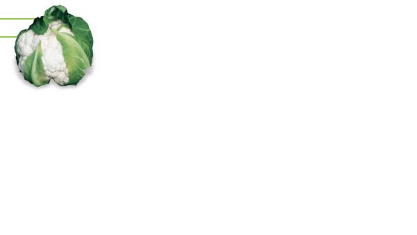 TEZEREN F1 TEZEREN F1